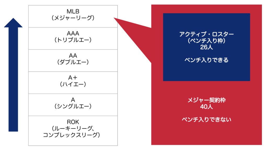 メジャーリーグ 組織図